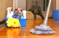 Домашняя уборка поднимает настроение