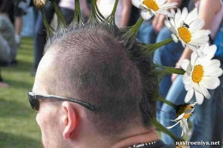 Мужская причёска с ромашками